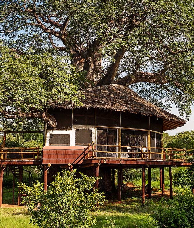Tarangire Treetops accommodation exterior view of Treehouse Suite Tarangire Treetops accommodation exterior view of Treehouse Suite