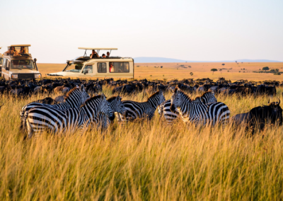 Serengeti Photographic Wildlife Safaris